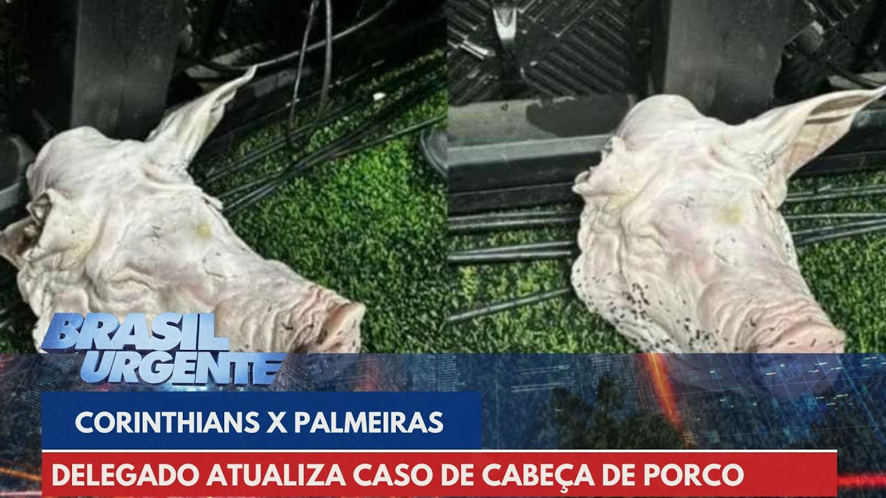 Delegado atualiza caso de cabeça de porco arremessada durante Dérbi | Brasil Urgente