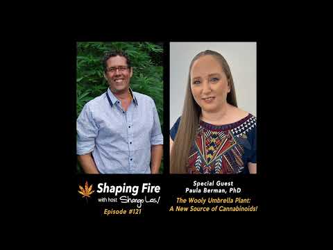 Shaping Fire EP121 - The Wooly Umbrella: A New Source of Cannabinoids with guest Paula Berman PhD