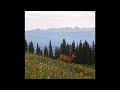 FREE Frank Ocean X Bon Iver Type Beat Life Everywhere