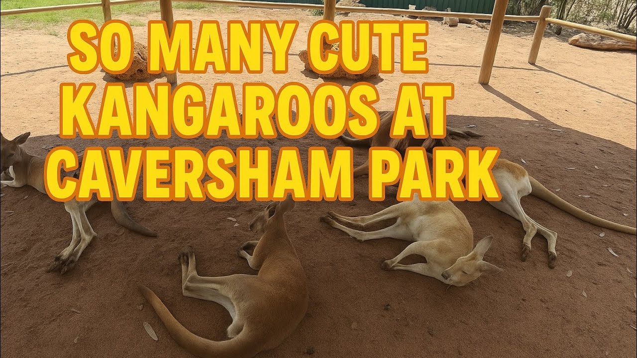 Experience a walking tour of Whiteman Park.