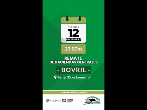 Remate de hacienda Bovril 12-12-2025 | Coop. Ganadera El Pronunciamiento