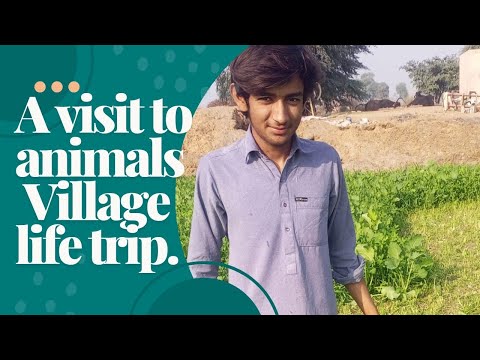 My first vlog visit to animals , crops and village life .