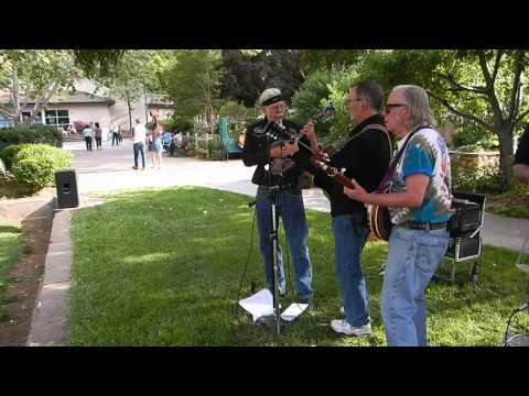 Forked Deer by the Notorious Shank Brothers