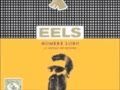 Eels - Ordinary Man