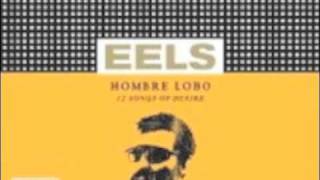 Eels - Ordinary Man