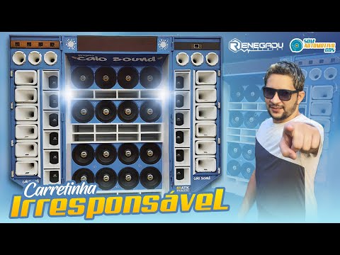 CD CARRETINHA IRRESPONSÁVEL - DJ RENEGADU