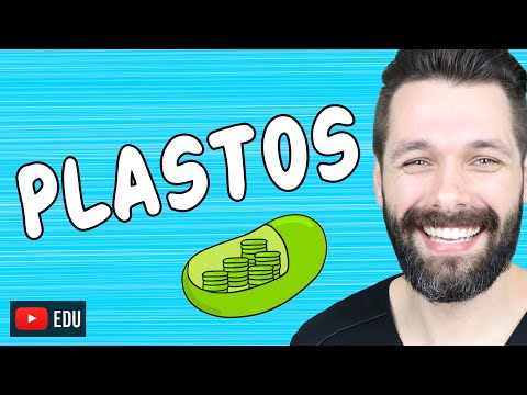 CLOROPLASTOS - CROMOPLASTOS E LEUCOPLASTOS - Plastos | Biologia com Samuel Cunha