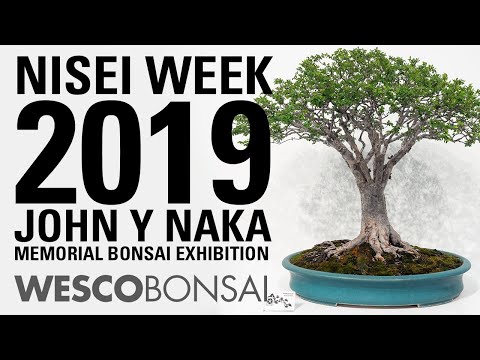 Nisei Week 2019 :: John Y Naka Memorial Bonsai Exhibition