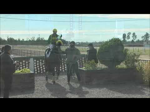 CARRERAS SINT FLORIDA  210603 c01-1° GRAN CELESTE