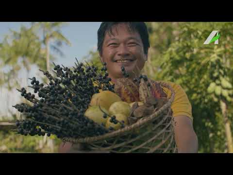 Mensagem da Amazônia para o mundo | Banco da Amazônia na COP 30.