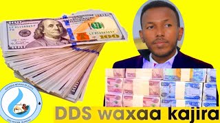 Wasiir #Axmed_Miraad_Layli oo xafiiskii #biyaha kuwareeray, #suudhadh iyo #cadaro kumashquulsan yaab