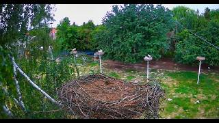Lublin Voivodeship · Lublin · "Szansa dla Bociana" Association (Kozubszczyzna) live stream