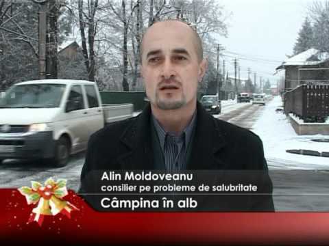 Câmpina în alb