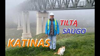 Lyduvėnų Geležinkelio Tiltas 2026.10.17