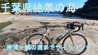 勝浦～鯛の浦までサイクリング