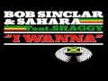 I Wanna (Radio Edit) by Bob Sinclar and Sahara ...