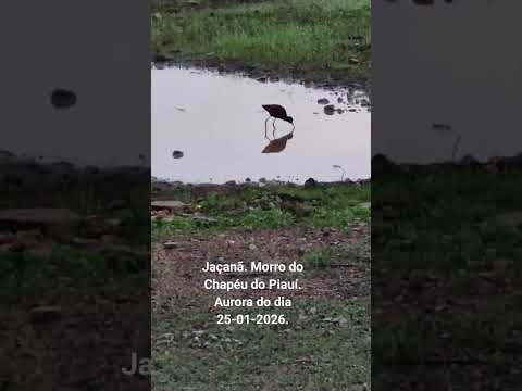 Jaçanã. Morro do Chapéu do Piauí.  Aurora do dia 25-01-2026.