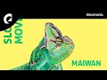 Maiwan Slow Move
