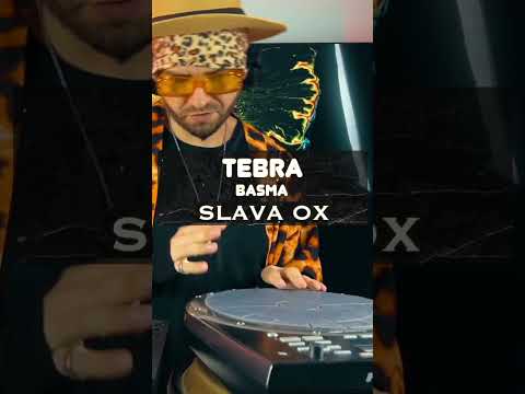Tebra · Basma · Slava OX #shorts #short #dj