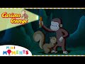 The Dark Isn T So Scary After All Curious George Mini Moments