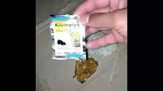 Download lagu Racun tikus kovinplus sangat dahsyat woooww mp3