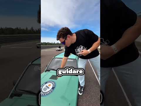 Le pande più strane del mondo gareggiano!🤯