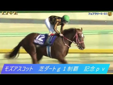 モズアスコット　史上5頭目芝ダートｇ１制覇記念ｐｖ