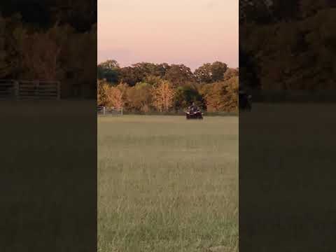 Cash 10/4/2021 on ATV