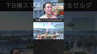 【スマブラSP】格闘Miiを下B横スマコンボでわからせるゼルダちゃん。