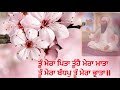 ਤੂੰ ਮੇਰਾ ਪਿਤਾ ਤੂੰਹੈ ਮੇਰਾ ਮਾਤਾ Bhai Bhalwinder Singh 