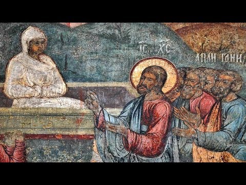 ÎPS Bartolomeu Anania - Predică la Duminica a 17-a după Rusalii - A Cananeencei