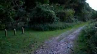 Nightingale Singing in Suffolk Countryside UK