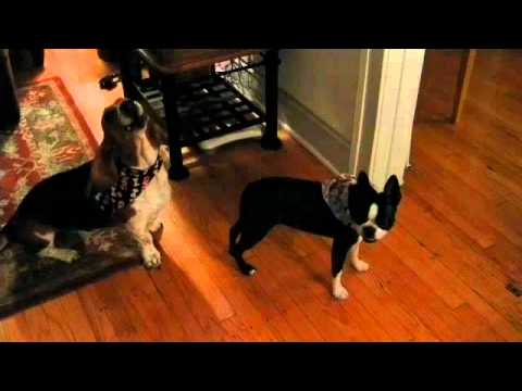 Happy Birthday Marco!