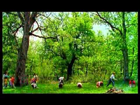 IKTB Nafarroa_oinez_1996