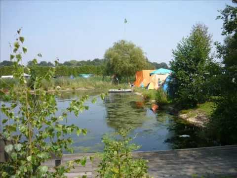 Overdose Dub of Rock