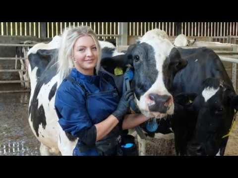 What we do at Cogent