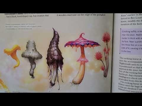 Hummingbrella: A hidden gem in nature