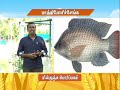Pon Vilaiyum Bhoomi 02 02 2021 Successful Farmer Story