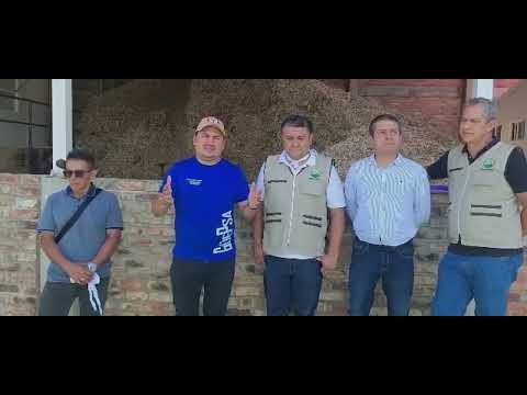 Del campo a tu mesa: producción de panela en Güepsa 🍯 | MERCORED