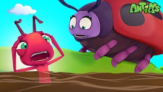 Quicksand Trap! ⏳ Can They Escape in Time? | Antiks 🐜 | Funny Cartoons for Kids
