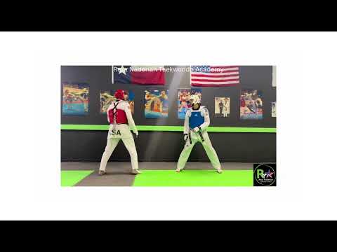 Reza Naderian Taekwondo Academy_Kicks_C_05_Kyorugi (교류기)_Sparring