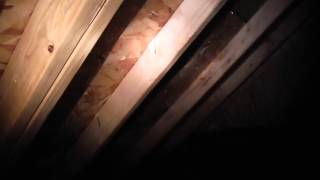 preview picture of video 'Seattle Home Inspector shows Why Inspect New Homes in Bothell-Part 12'