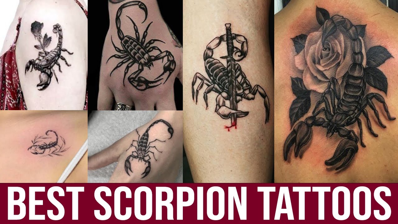 Top 40 Best Scorpion Tattoos