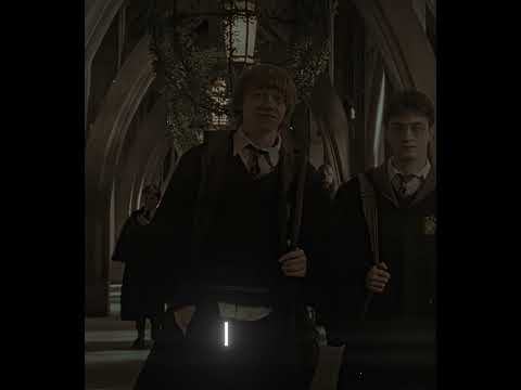 "I've been asking myself the same question"|| Harry, Ron , Hermione Edit || NUNCA MUDA? (Slowed)