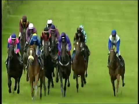 Galopprennbahn Dresden - 18.06.2016 - 4.Rennen