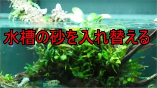 ［ライブ136】水槽の砂を入れ替えます(ラプラタ→ボトムサンド)