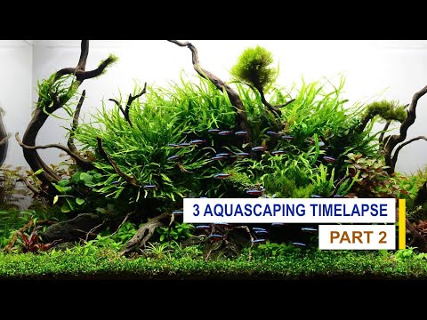 #Aquarium #decoration ideas - 3 #Aquascaping tutorial Part 2