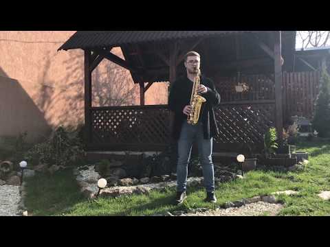 Titanium - Radu M ( Alto Sax Cover - David Guetta & Sia )