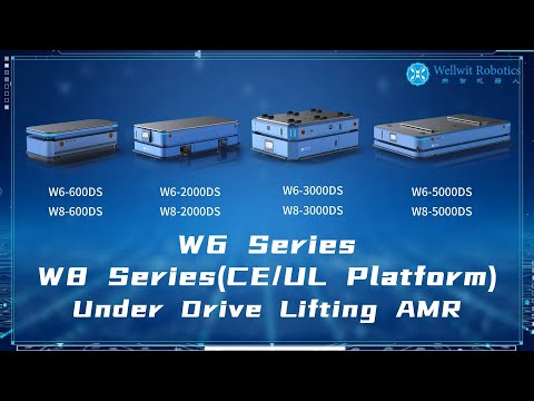 W8-3000MB video