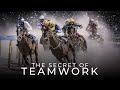 The Secret Of Teamwork Best Teamwork Motivational Video